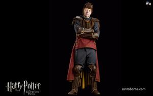 Harry Potter and the Half Blood Prince Harry Potter and the Half Blood Prince